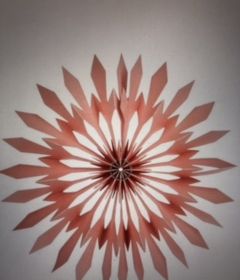 Coral Fan Paper