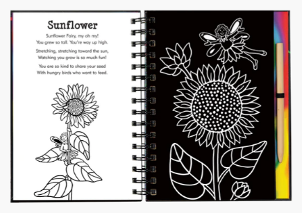 Scratch_N_Sketch_Garden_Fairies_3.PNG