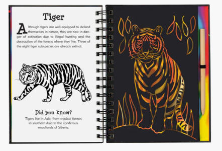 Scratch_N_Sketch_Wild_Safari_3.PNG