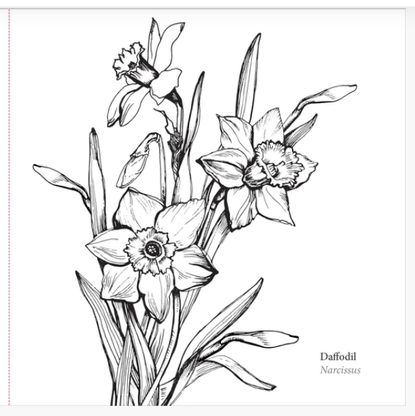 Spring_Blooms_CB_1.PNG