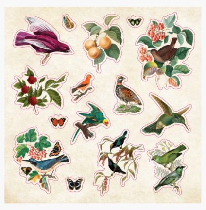 Sticker_Book_Curiosities_4.PNG