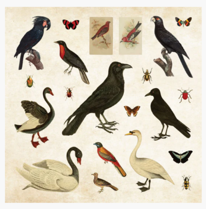 Sticker_Book_Ephemera_5.PNG