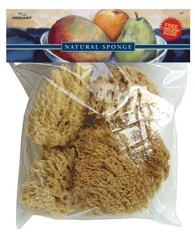 Wool_Sponge_Set.jpg